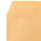 JAM Paper Gold Stardream 9" x 12" Open End Envelopes